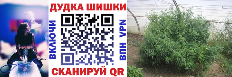 Магазин наркотиков Светлогорск СК  ГАШ  АМФЕТАМИН  COCAIN  Бошки Шишки 