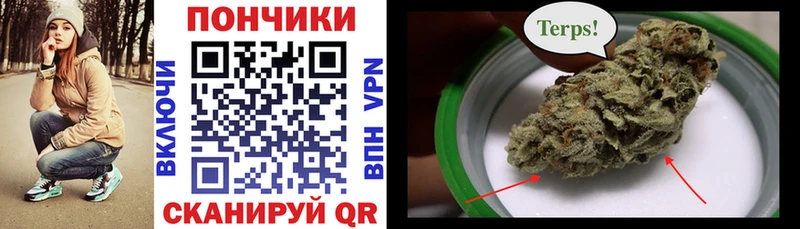 shop как зайти  KRAKEN ССЫЛКА  Светлогорск  Шишки марихуана конопля 